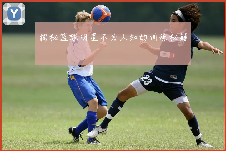 揭秘篮球明星不为人知的训练秘籍