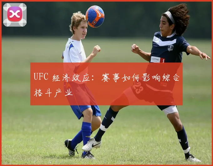 UFC 经济效应:赛事如何影响综合格斗产业