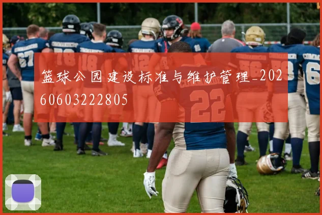 篮球公园建设标准与维护管理_20260603222805