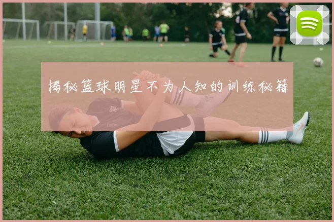 揭秘篮球明星不为人知的训练秘籍